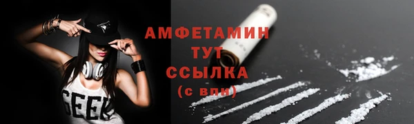 стаф Арсеньев