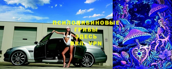 гидропоника Алзамай