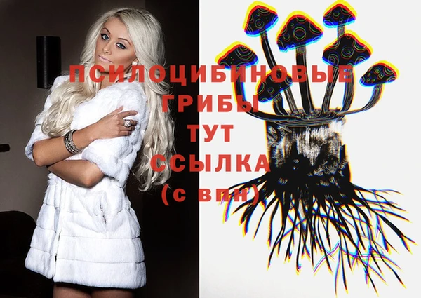 прущие грибы Шадринск