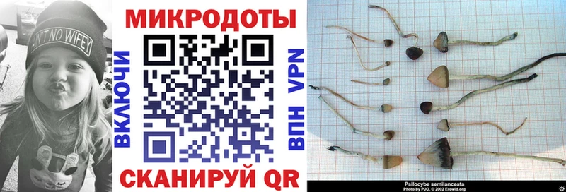 Псилоцибиновые грибы мухоморы  Холм 