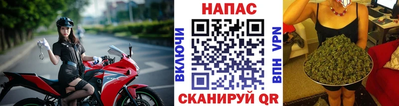 Бошки марихуана семена  Холм 